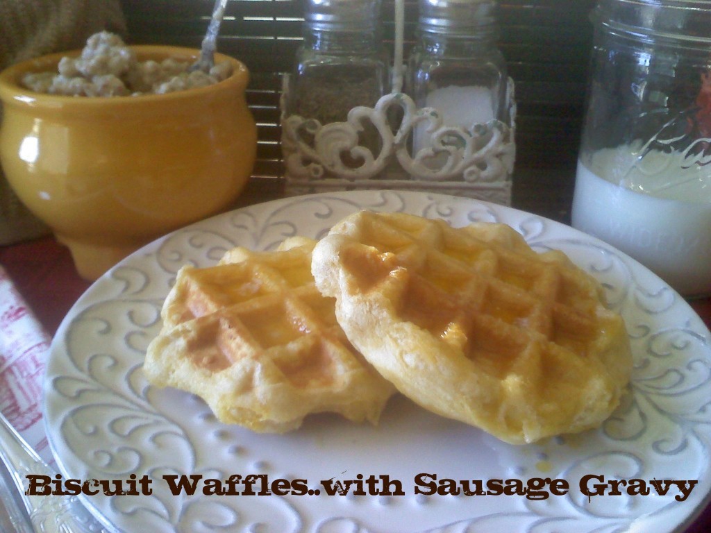 biscuit waffle cover