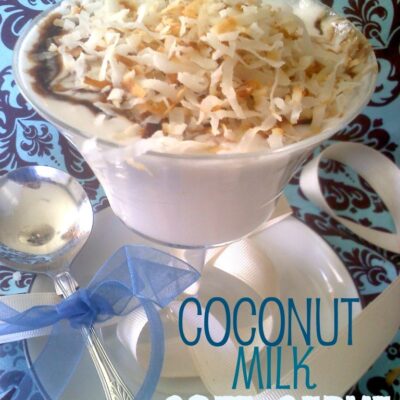 ~Coconut Milk Soft Serve!