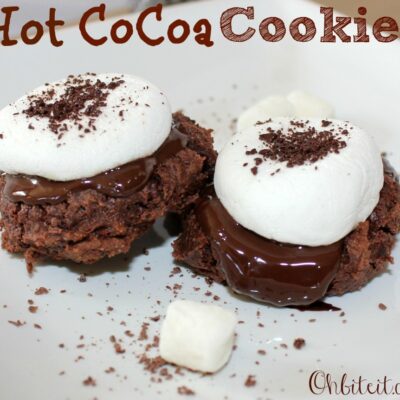 ~Hot Cocoa Cookies!