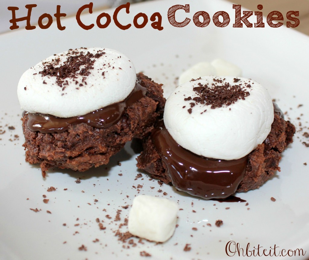 Hot Cocoa Cookies!