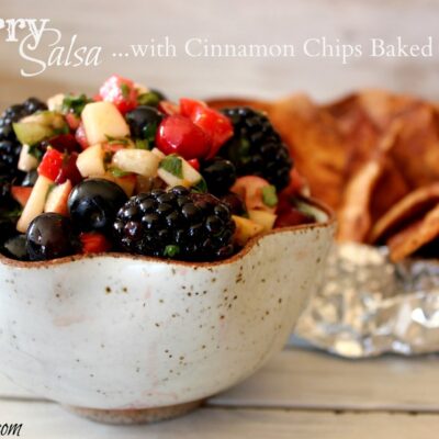 ~Berry Salsa & Cinnamon Chips…baked in foil!  TOP CHEF recap & recipe inspiration!