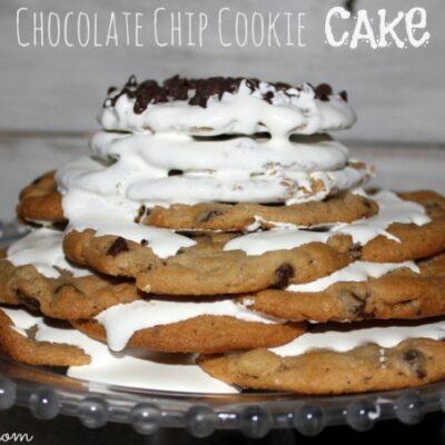 ~{Overnight}~Chocolate Chip Cookie 'Cake'!
