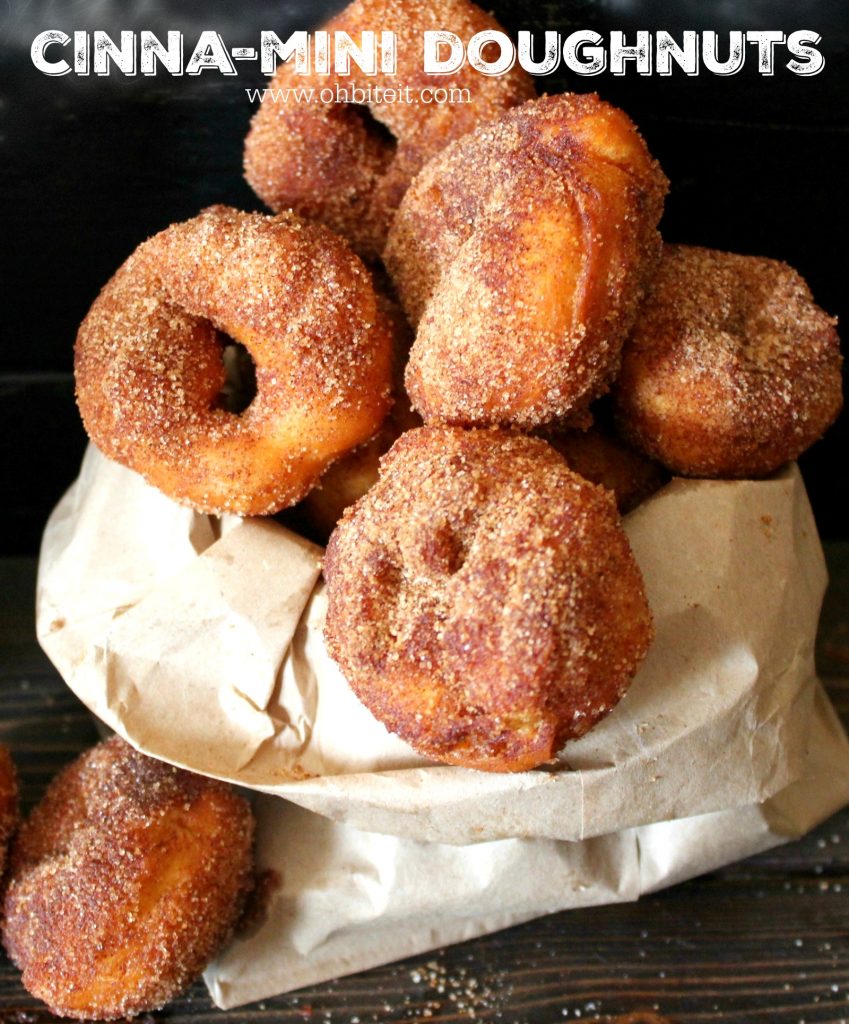 ~Cinna-Mini Doughnuts!