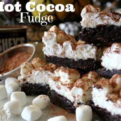 ~Hot Cocoa Fudge!