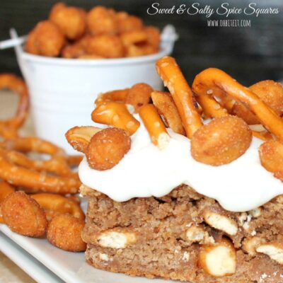 ~Sweet & Salty Spice Squares!