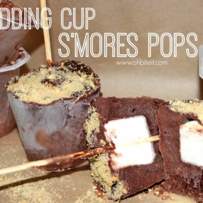 ~Pudding Cup S'Mores Pops!