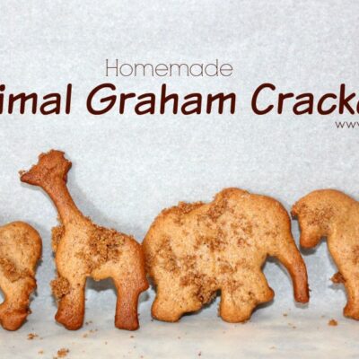 ~Homemade Animal Graham Crackers!