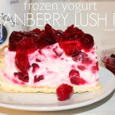 ~Frozen Yogurt Cranberry Lush Pie!