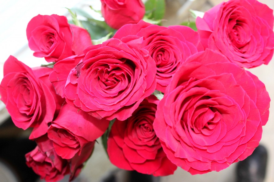 Whole Foods Market ROSES!