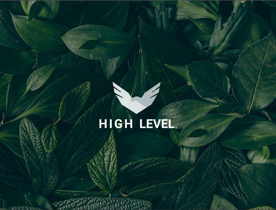 ~High Level!