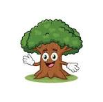 ~Essential Tree Care Tips for Homeowners!